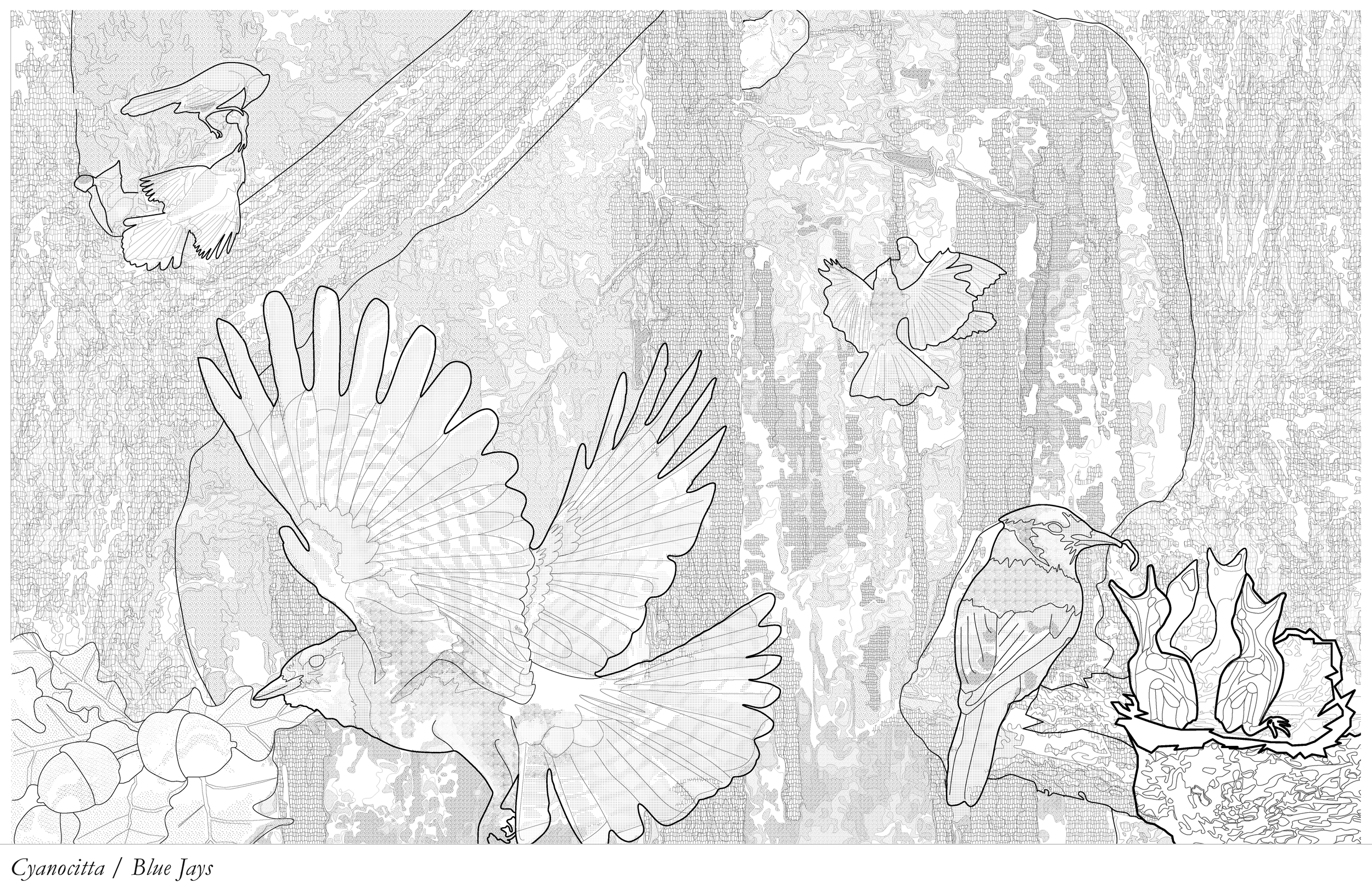 Ecological Tectonics — Caroline Cameron's Creative Portfolio
